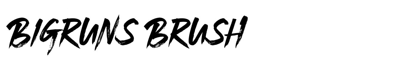 Bigruns Brush